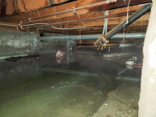 Water damage restoration mold remediation in CA