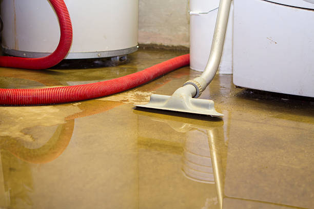 Best Mold removal after water damage  in West Sacramento, CA